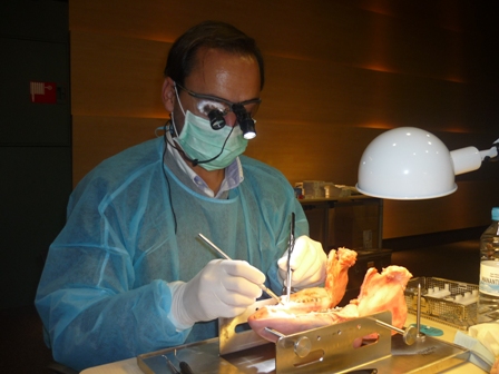 Curs dr Zuhr