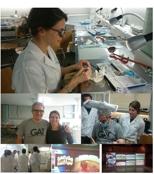 Curs de provisionals amb el dr gamborena