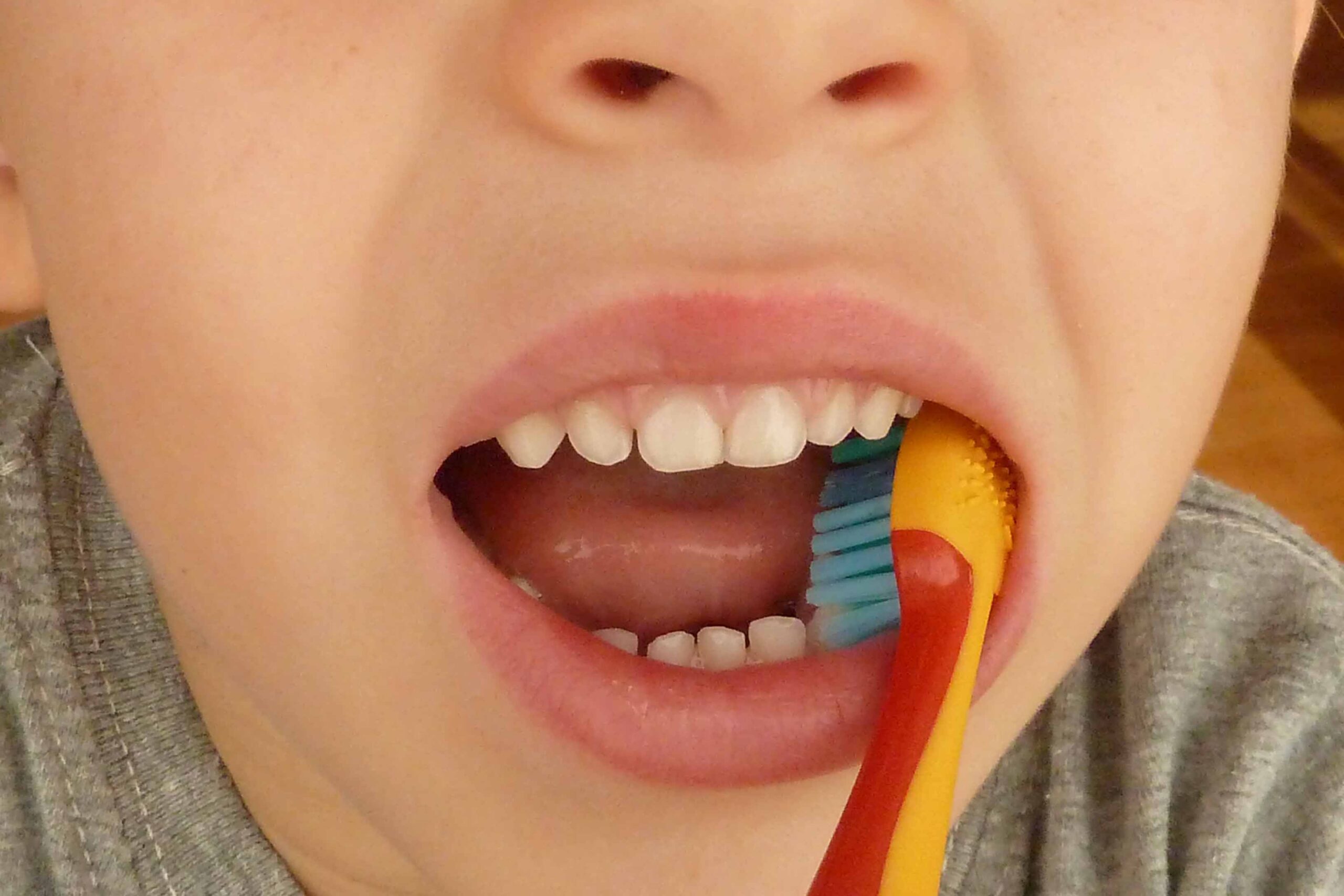 Dents de llet: la importància que tenen en la salut bucodental futura